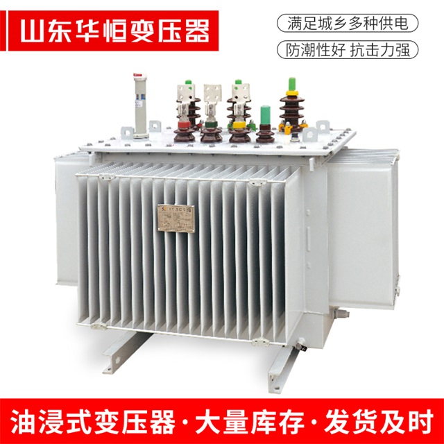 S13-10000/35东平东平东平电力变压器